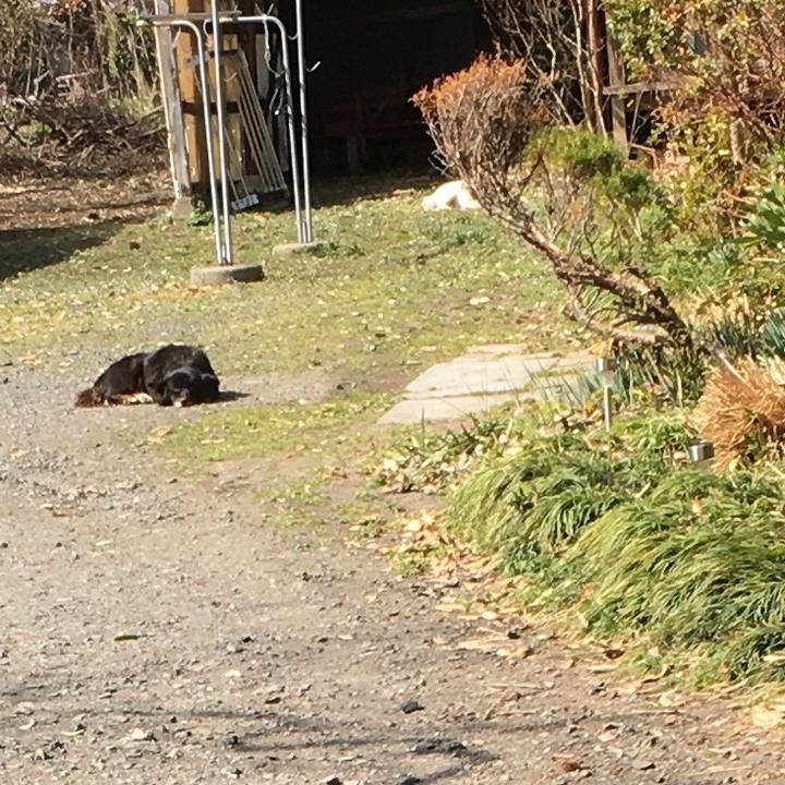 245ce1aa f624 4985 ae5f c3036311df0d 1615116913447