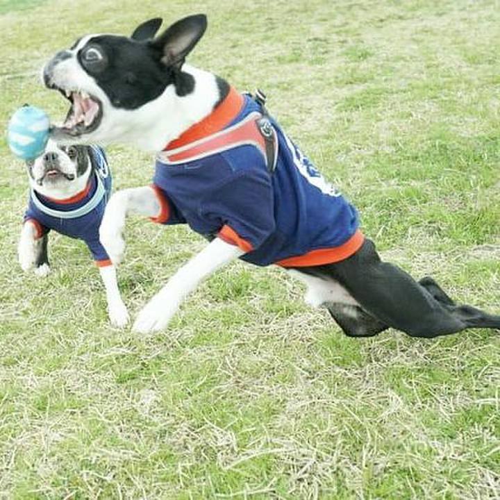 245cf895 3b01 41c6 9f43 e1162f9372dd 1553432778712