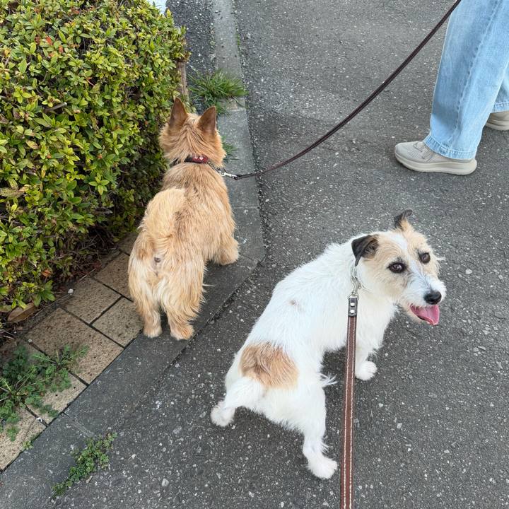 245d1ca4 b33f 4f0c ba9d 5aad90bfd468 1772368231020