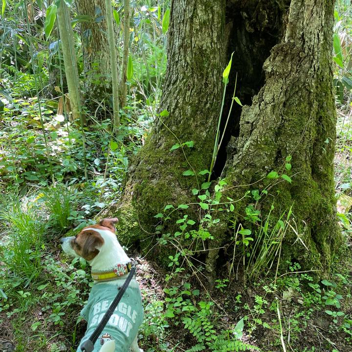 245d4141 e6f2 4f55 b096 72befab617f1 1653725415013