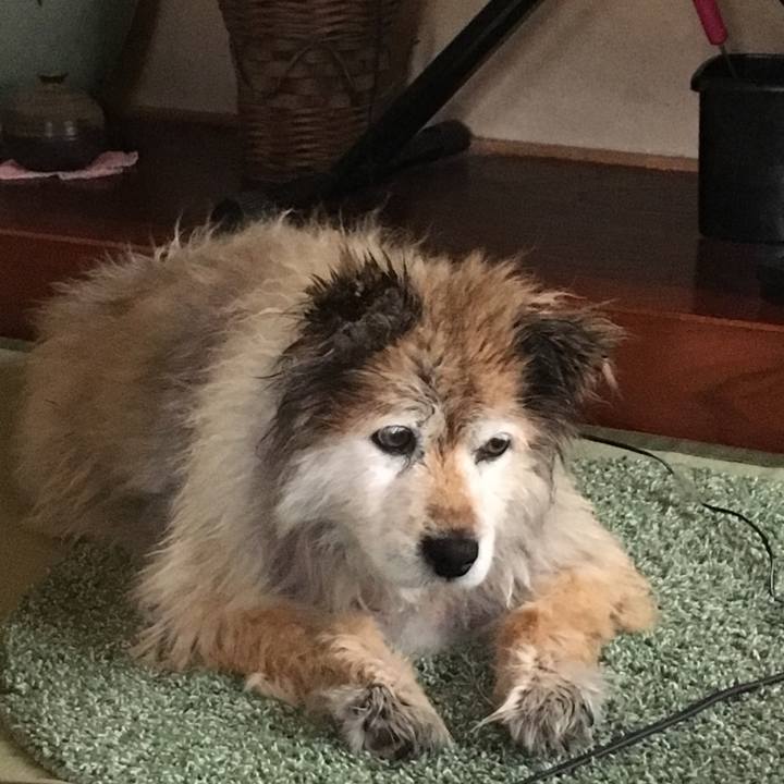 245d48f8 9d80 419d bf14 8f4aefe6df41 1650611481342