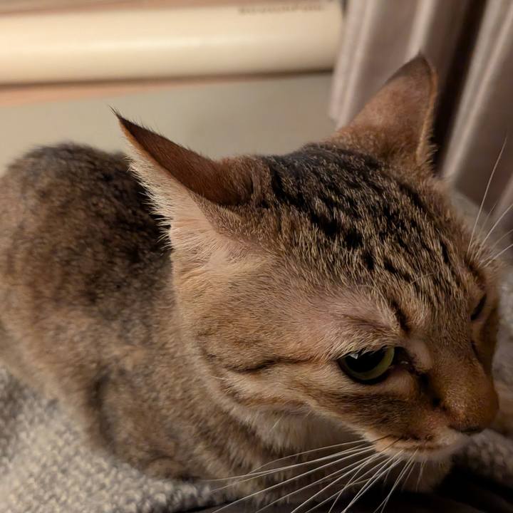 245d53a3 76cb 4341 8021 a5728a86b083 1767049088164