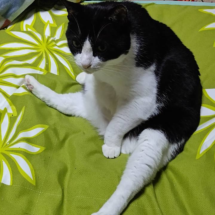 245d5d8b 93c2 4562 ae65 1d6f2525ea56 1636291594530