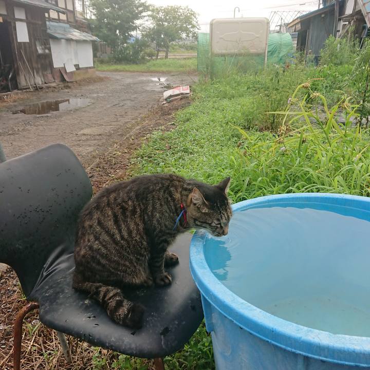 245d82a5 760c 4e34 9731 e8bf54e1a7d4 1659650427960