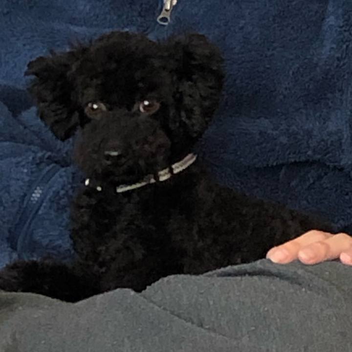 245d9e35 192d 4a19 a8b0 f64a164bdc0d 1554454575858