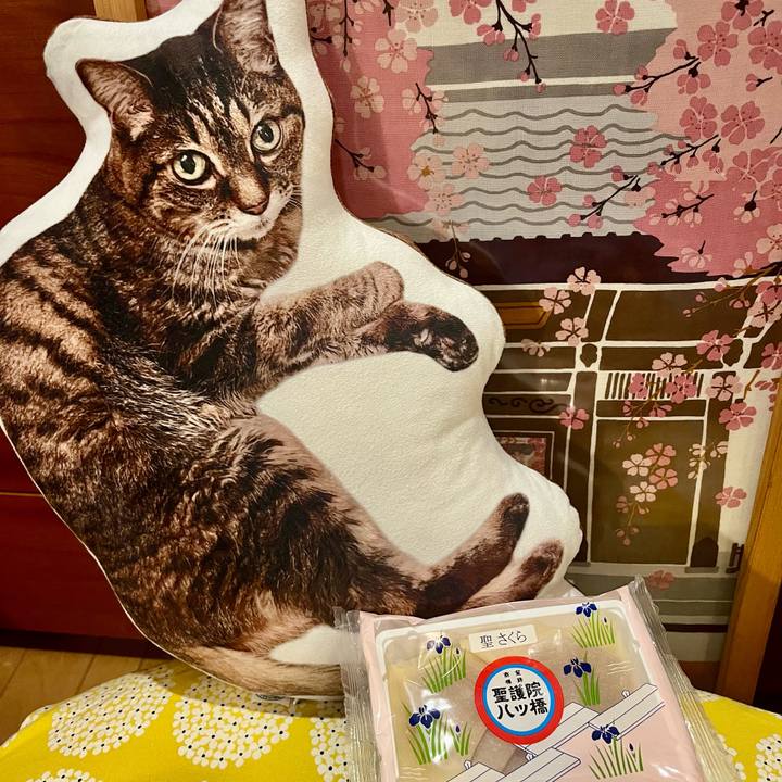 245dbf72 e6af 415f 842a 03df4548be6a 1773323283132