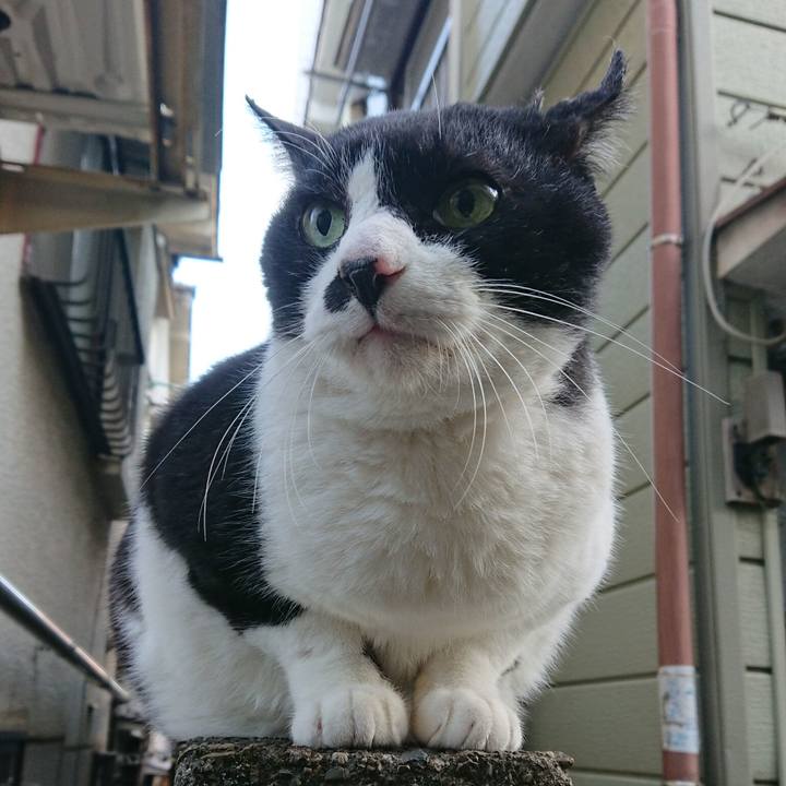 245dd122 c087 4d23 813e 4ac1bbe31d4e 1576813107236