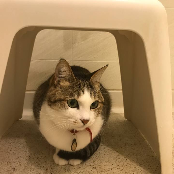 245de62b 4f1d 4571 a784 413f81cea296 1513783399089