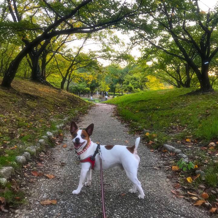 245e0a4b 080c 44f7 86bb 138d9b6a784e 1535193350072