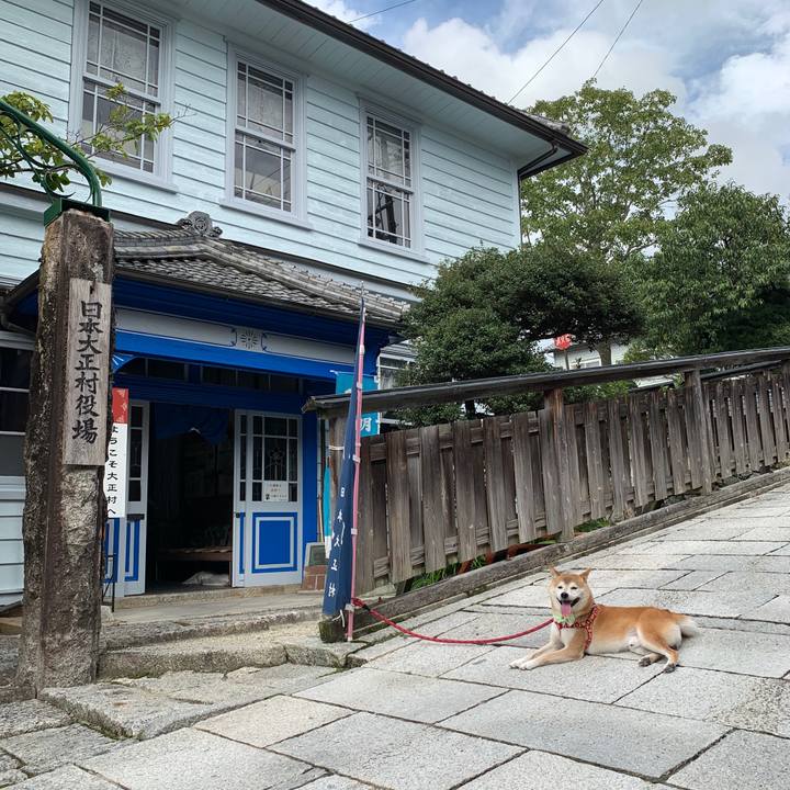 245e1e9c 85b5 4de7 864e 264852aeb707 1600334231503