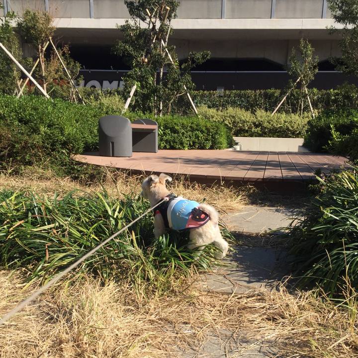 245e3e03 c932 45c1 bbb1 88d9864609a8 1542196906940