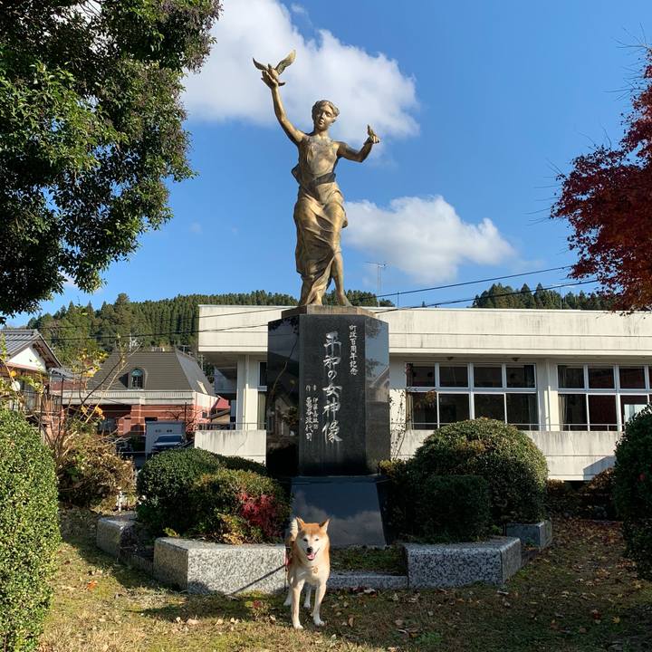 245e8f0a 3d0a 464f b391 6b8767427c7b 1605776871976