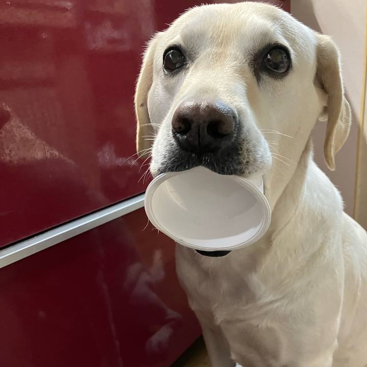 245eb659 f61b 4192 a6ad 207b05f4cae9 1686919155279