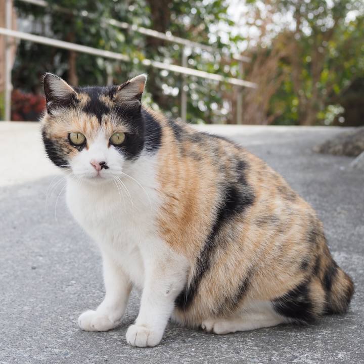 245efd7c 6323 4e1a b30c 46696f578da7 1646454649035