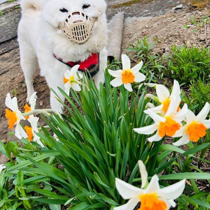 245f0c7f 3ab4 4a1d a326 d72e7a1042dd 1715461434533