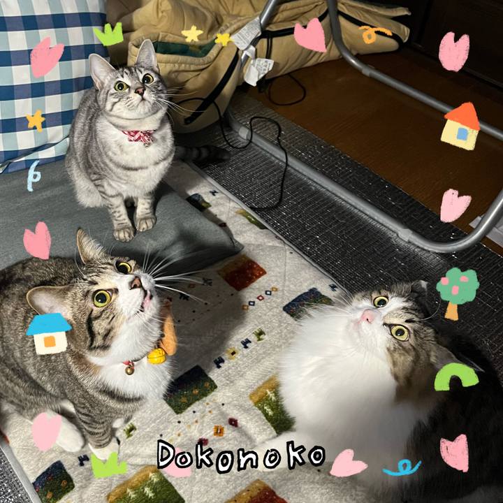 245f157d e326 4d79 9315 de212829376d 1741069542995