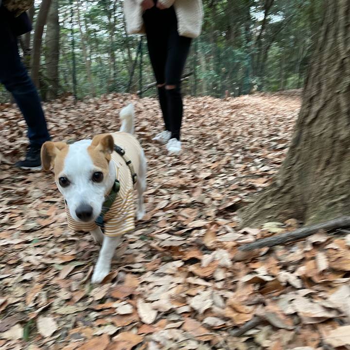 245f2891 6672 464c ab21 e539d3d29d67 1642932687001