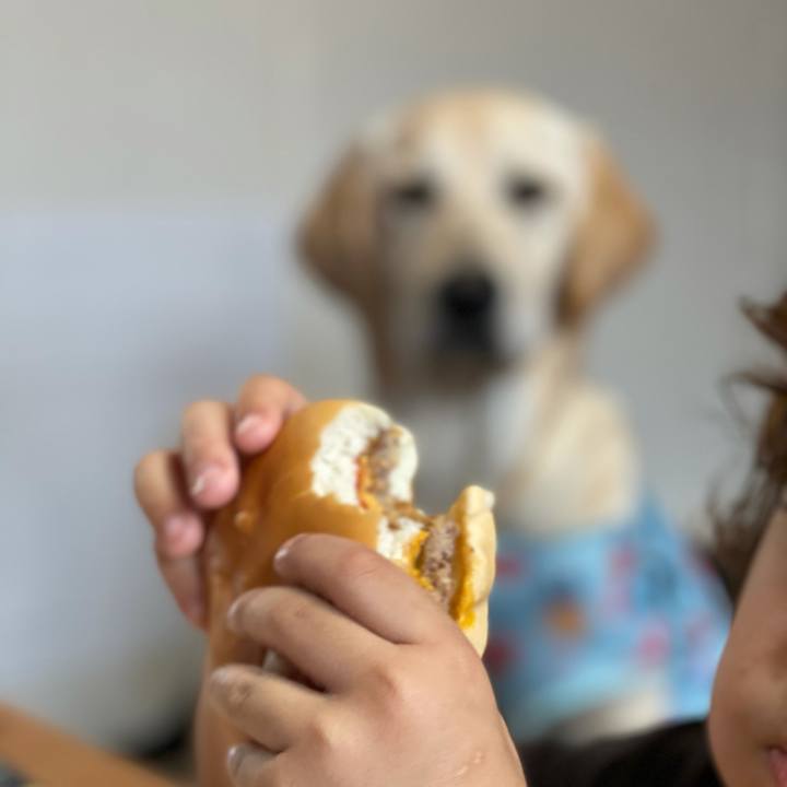 245f6861 1536 43fb bf2f 18f2a4bce405 1622193860427