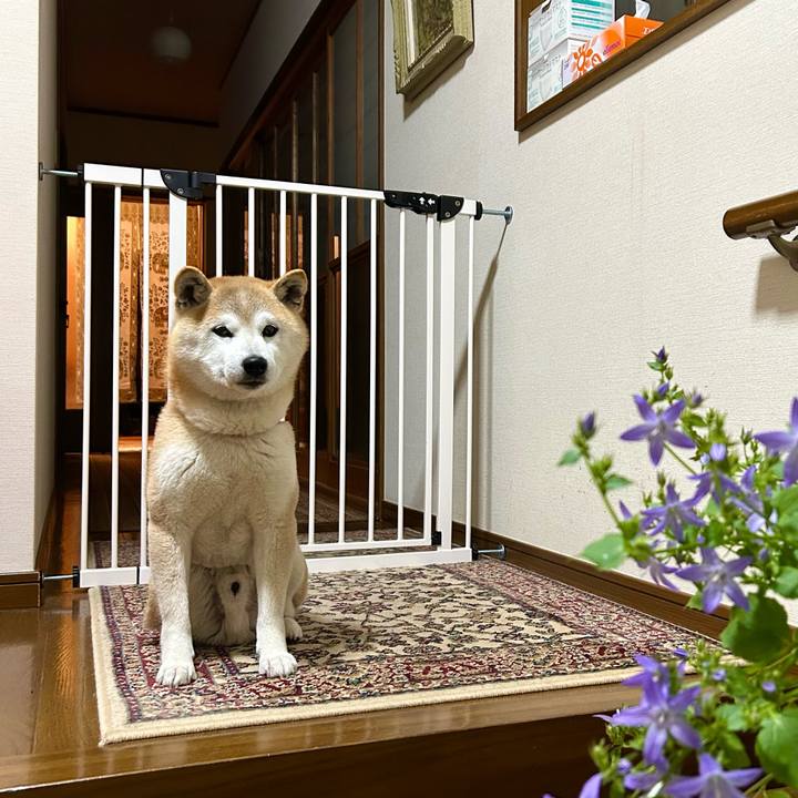 245fc248 4c3b 4a56 8b6b b2fec365bb60 1748345485362