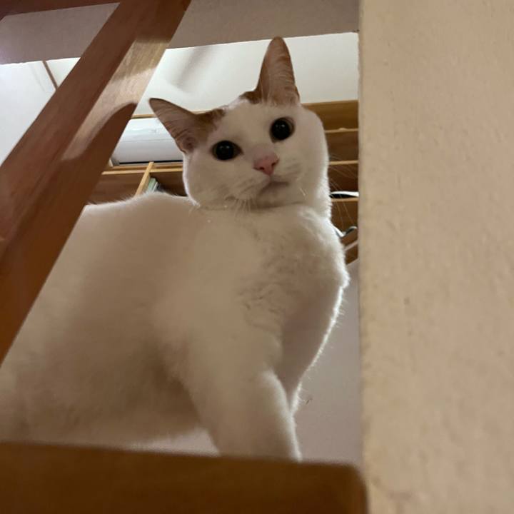 245fc7ba 0763 4514 973c c8b42411b681 1769181347943