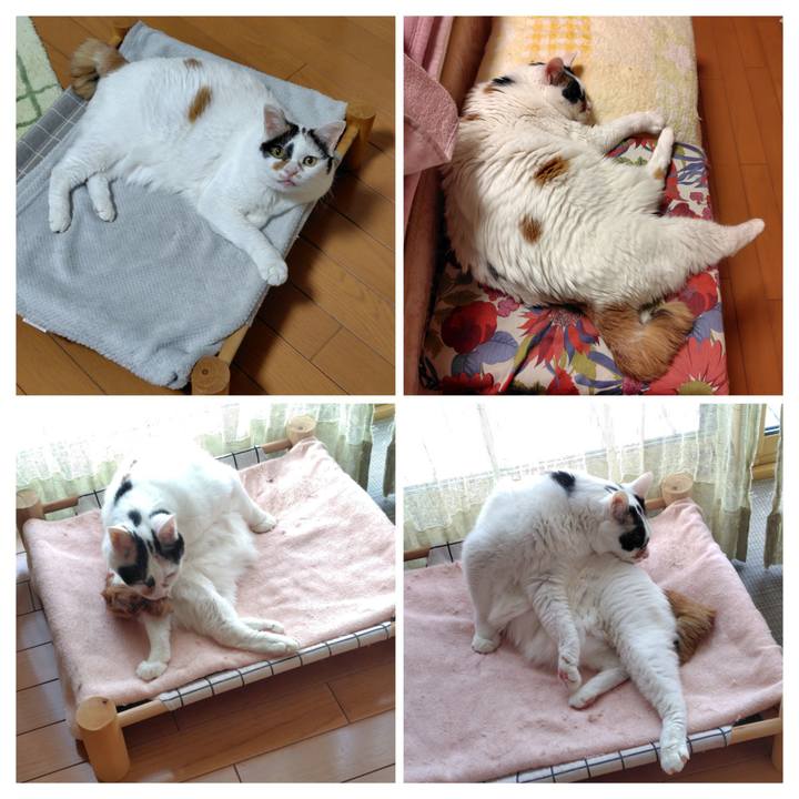 245feae4 3b0a 43d8 a0f2 3398c79be155 1767655073907