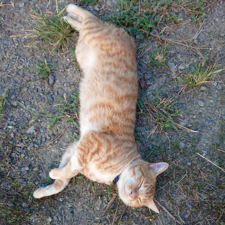 245ff96b d2b8 4de7 b8ca 05a3b75e47d8 1565815344704