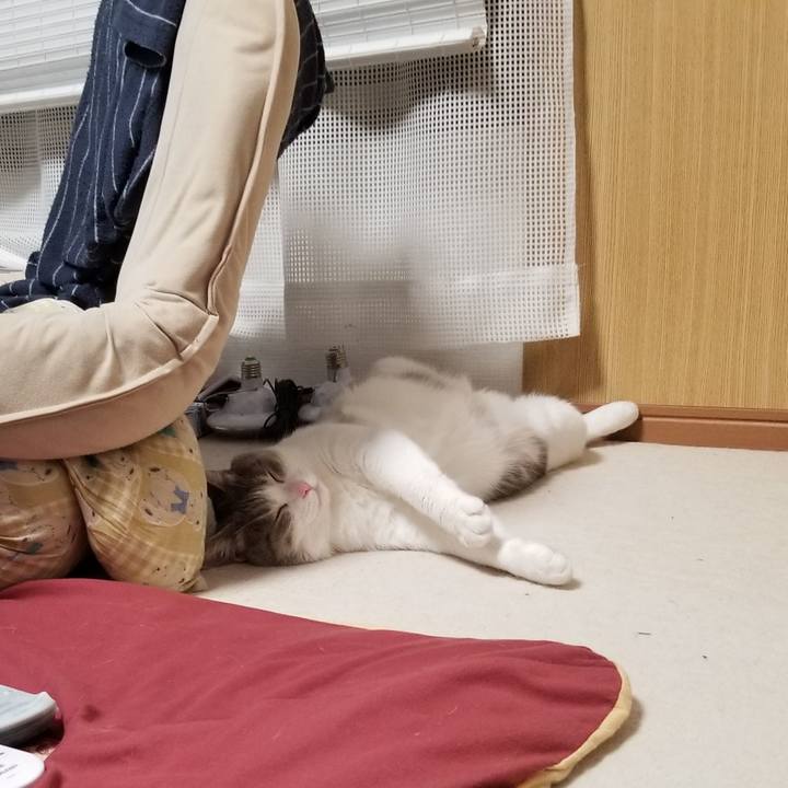 24600e66 3f23 4554 b17e 894d72b3fdd9 1646309104944