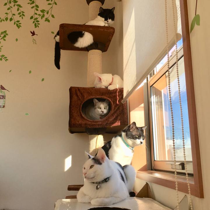 24601de7 8392 443c 9f15 47789b570a16 1512516144356