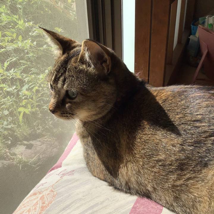 246041b1 ac27 4a43 955f a6abaa917a8c 1588894197231