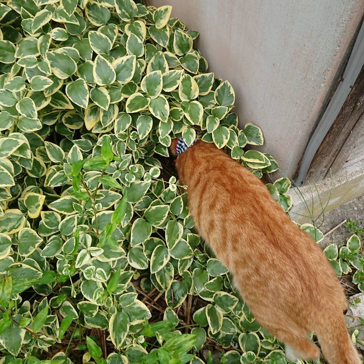 2460a068 d6aa 420b a5a3 462f72bfb1e3 1568611660717