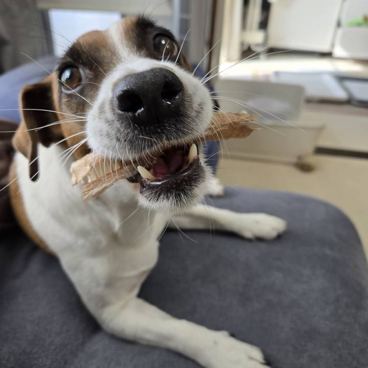 2460d3b5 51dd 4a76 991c a07676ca661d 1765261842340