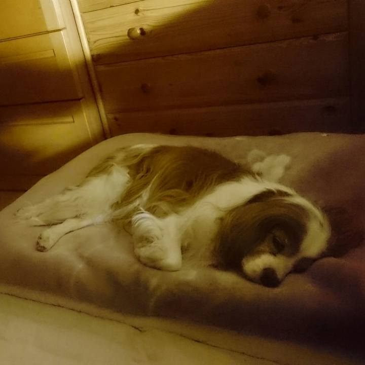 2460d68e 0a4a 4ffb 999e 2df6544e726e 1524232876910