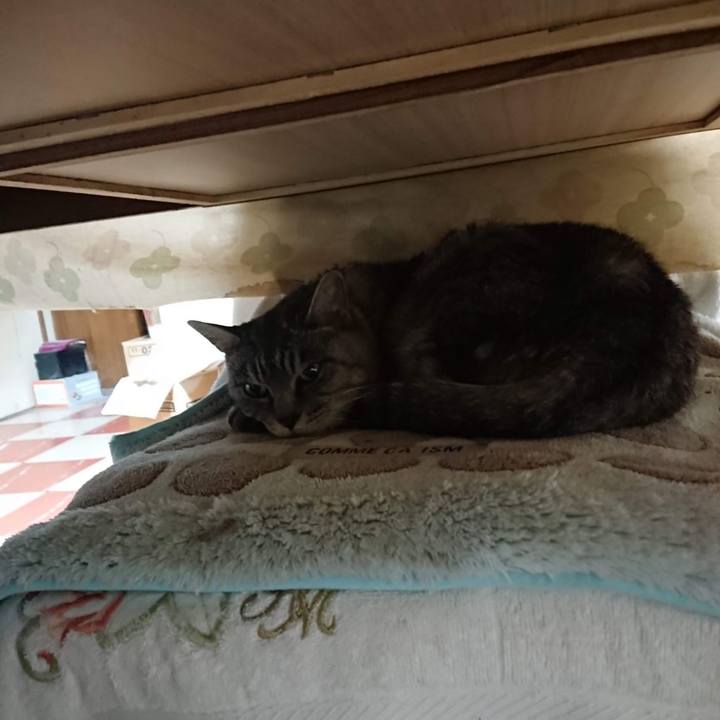 24618f36 fd13 4443 867c 53c05c665cb1 1604607730328