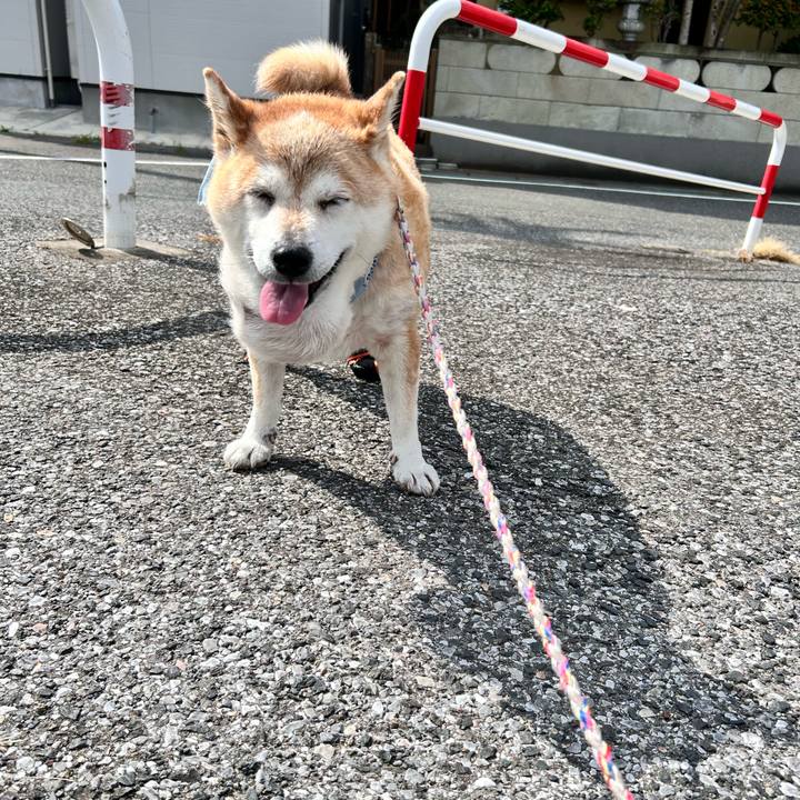 24619a60 ed32 4dd2 92e9 28c14fe0c353 1754197293457