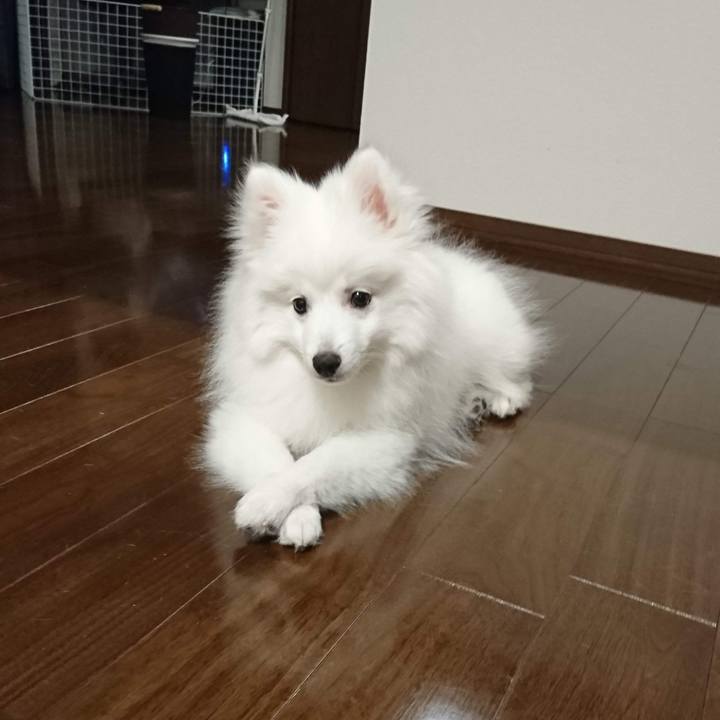 2461b095 fa78 4efd ac5b 3fb54a2d5a5f 1600556350404