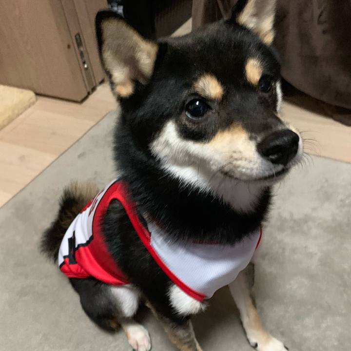 2461b443 310e 481b aee6 87806dbc0c34 1608683394118