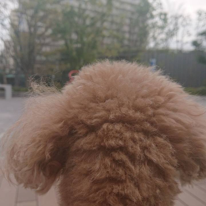 2461de8d 0420 4867 bbc4 c8b28419fa69 1616224360308