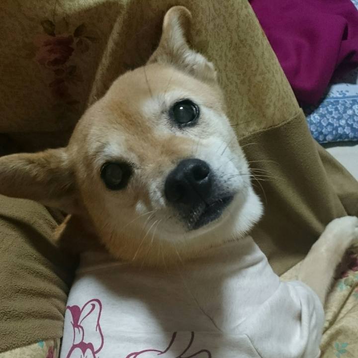 246240f4 637e 4d81 b447 71138104c190 1586442523559