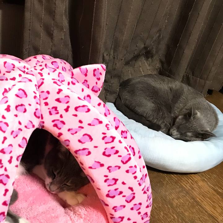 24627f26 4b1d 4f7d bea9 a57e7bc8a27e 1509196300646