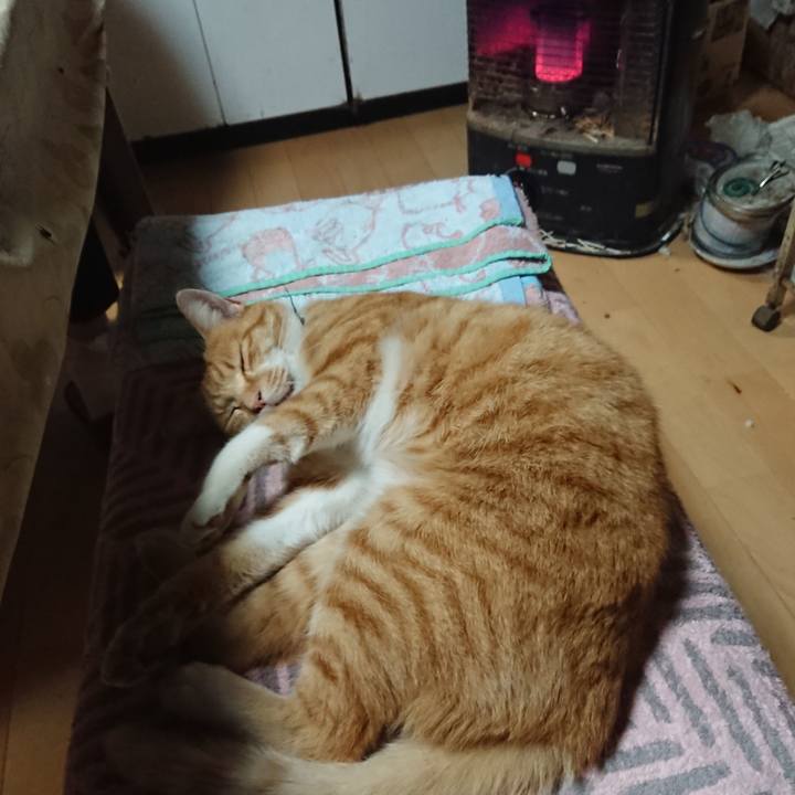 246281dc 769e 4a88 b891 cef47752f741 1602579549673