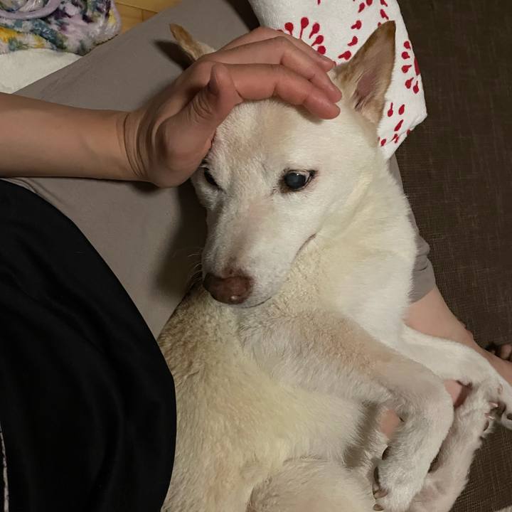 2462883e 564f 4024 a7ff 8deaa0866adf 1666637460844