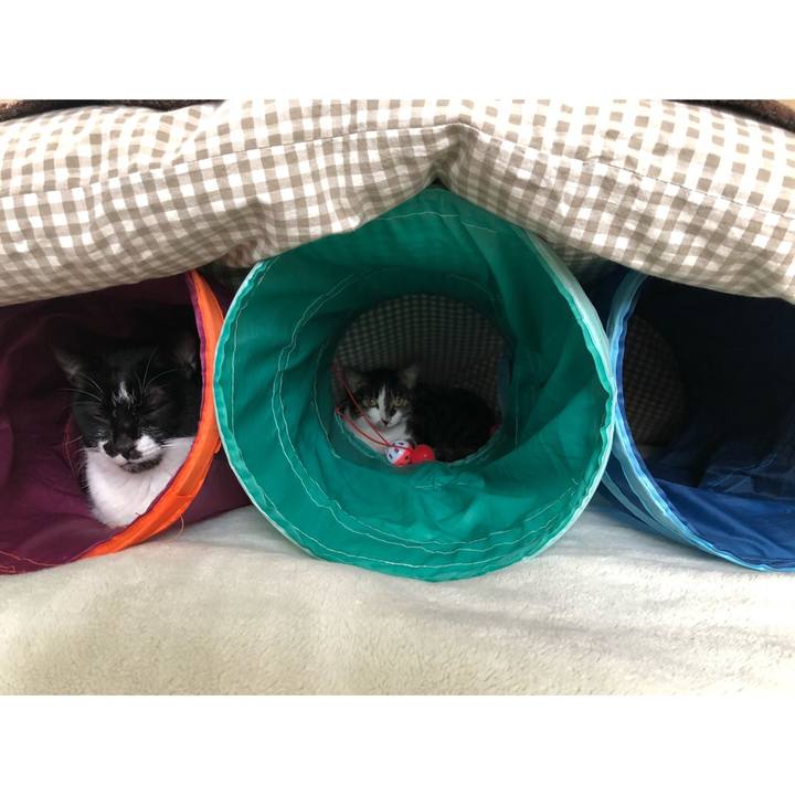 2462c363 bdbc 481c 8761 b648c8d0eea2 1605060842812