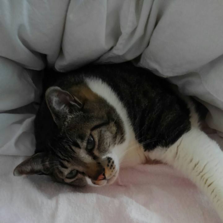 24630a83 e426 44bb 8a90 102ae5512b10 1514241424190