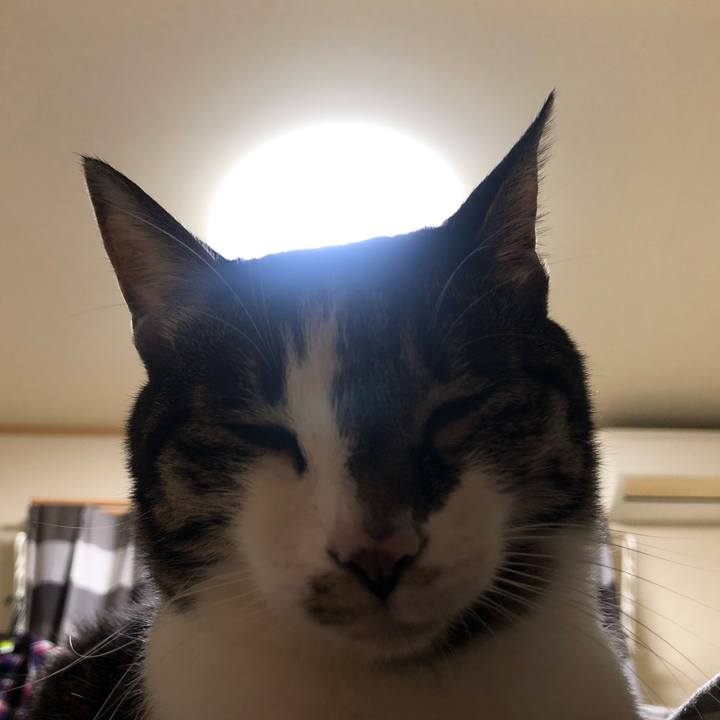 24633e55 09e7 453f 963f 8b5c6ddee0a6 1606595616322