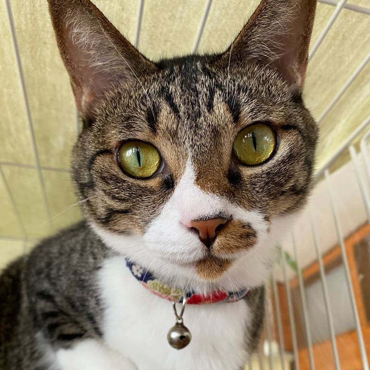 246356a3 4cfa 4784 9ad3 5d2f9ae54faa 1752373139784