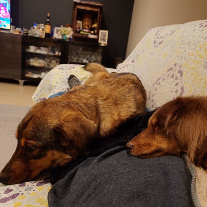 24638234 4eea 460a 98be 158333af9a23 1738583014490