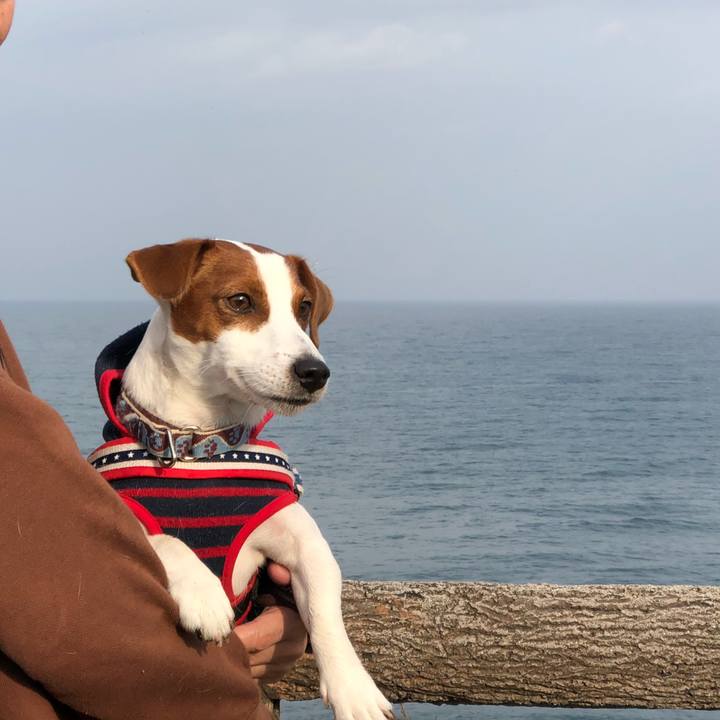 24638387 6d1c 471f 94c2 8aa0440d1376 1543565922828