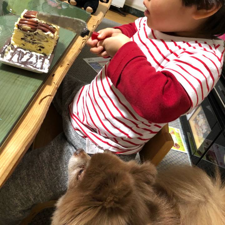 2463947f 72a3 4bca aa1e a09a4069409e 1555028638280