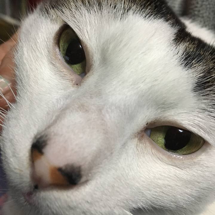 24639502 7cb1 40de 80c1 a33c2494b6a9 1515850498611