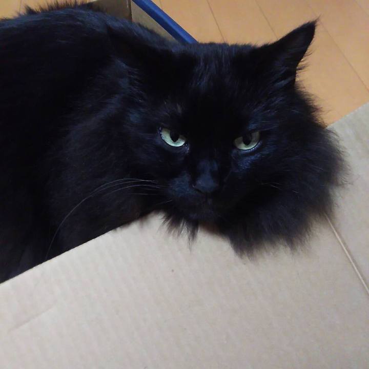 2463b642 7e74 4178 861e 2448ffc76d56 1550583390700